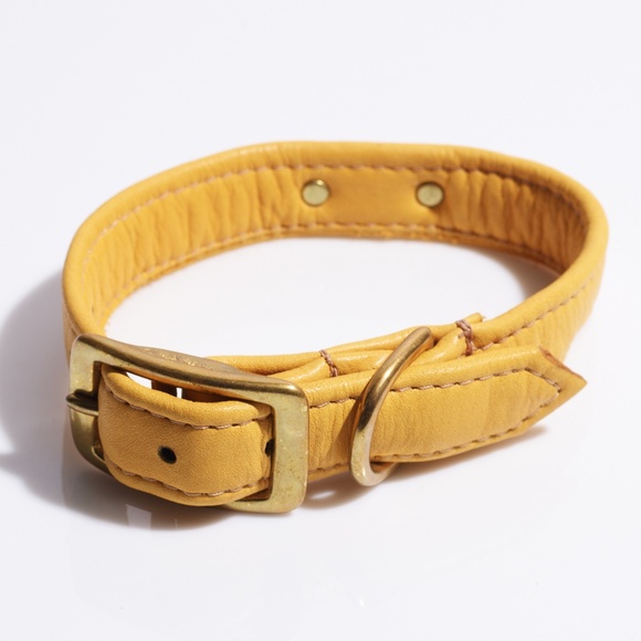 Leather Dog Collar by Hound Collection with Gold Bar Logo - Picture 2 of 8